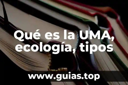 Que es una uma en contabilidad 6 Qué es la UMA, ecología, tipos