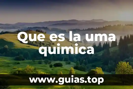 Que es una uma en contabilidad 5 Que es la uma quimica