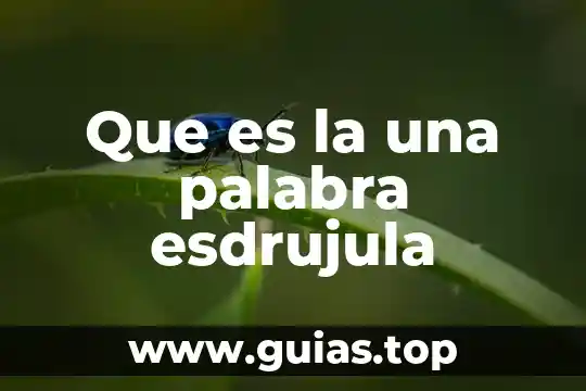 Que es asentamiento tipos 4 Que es la una palabra esdrujula