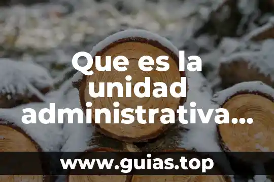 Qué es la justicia constitucional administrativa 7 Que es la unidad administrativa del control interno