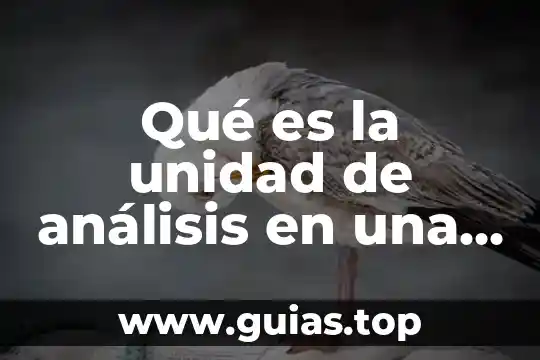 Que es analisis economico normativo 7 Qué es la unidad de análisis en una tesis