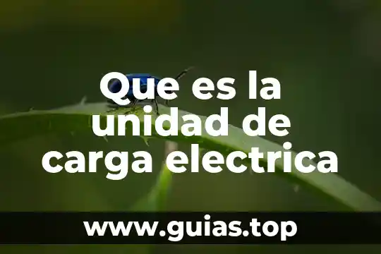 Que es termoestable en electrica 3 Que es la unidad de carga electrica