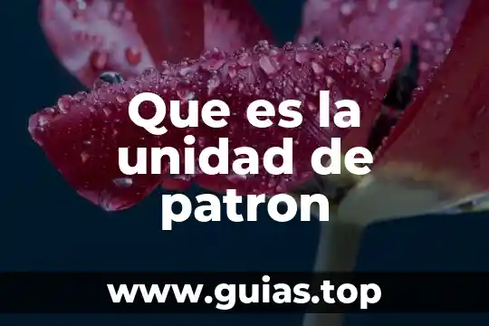 Qué es un patrón para niños 3 Que es la unidad de patron