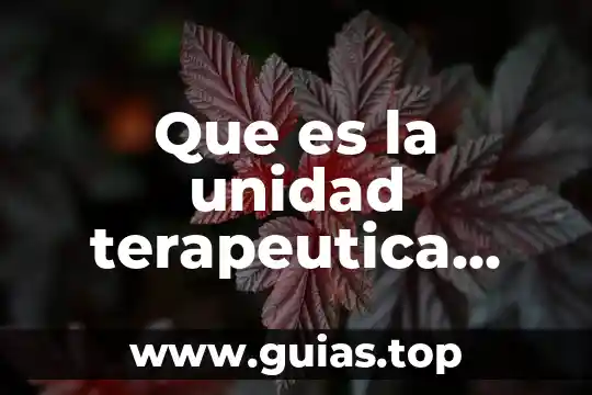 Que es la objetividad redalyc 3 Que es la unidad terapeutica redalyc