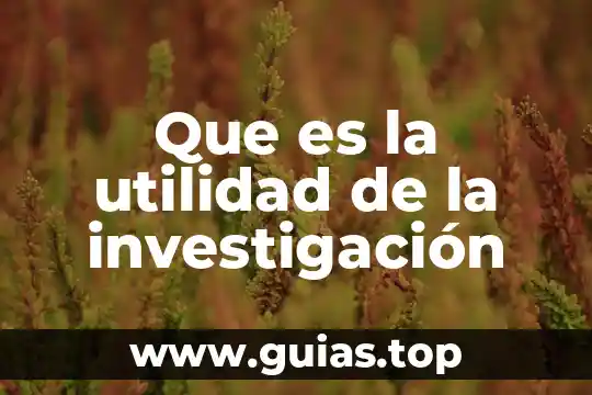 En una tesis que es limitacion es la investigacion 7 Que es la utilidad de la investigación