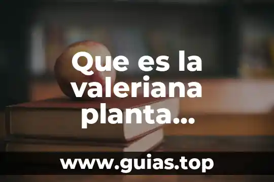 Santa maria planta medicinal que es 8 Que es la valeriana planta medicinal