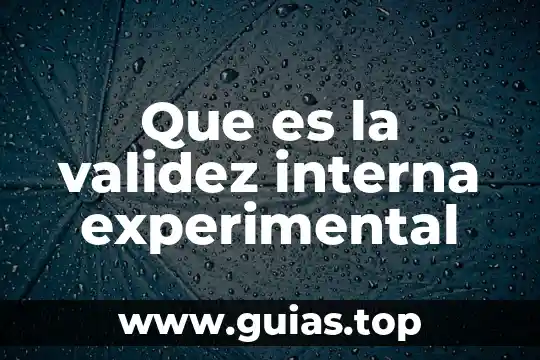 Qué es el soporte neural en psicología experimental 4 Que es la validez interna experimental