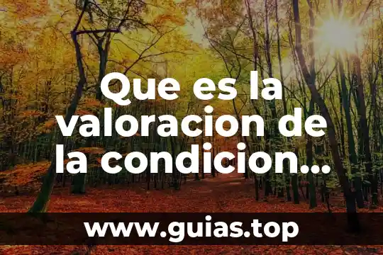 Que es estructura teorica en la valoracion de enfermeria 7 Que es la valoracion de la condicion fisica