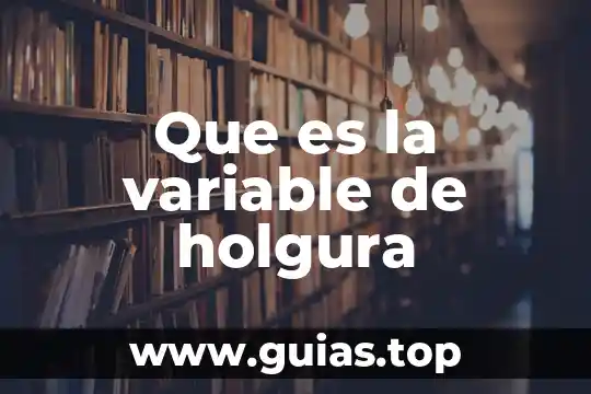 Que es la agua seca 3 Que es la variable de holgura