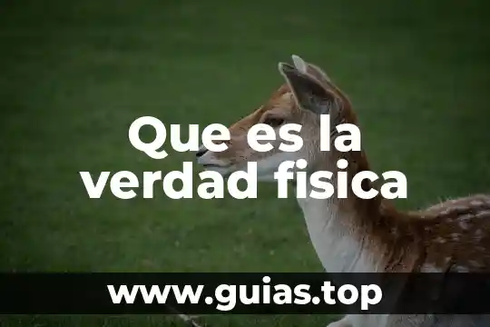 Qué es un vslle en física 8 Que es la verdad fisica