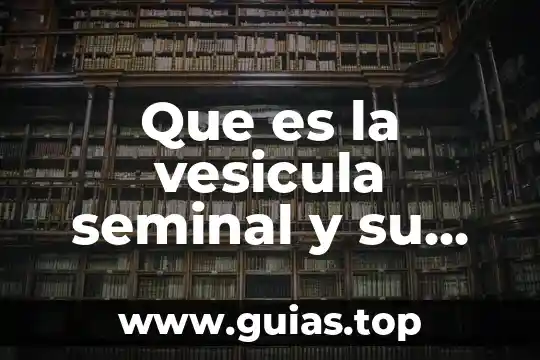 Qué es la constitución federal definición 7 Que es la vesicula seminal y su funcion