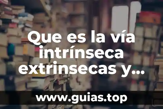 Que es numero comun mutiple 8 Que es la vía intrínseca extrinsecas y comun