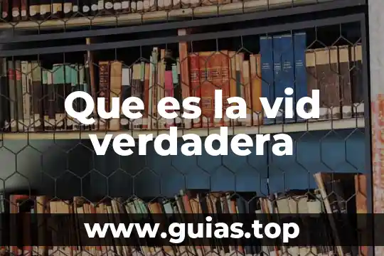 Planta rutácea que es apellido 6 Que es la vid verdadera