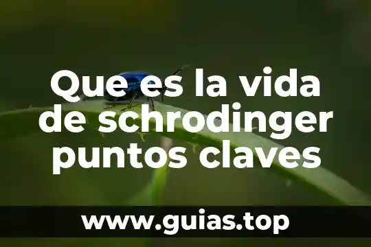 Palabras claves de que es un principio activo 3 Que es la vida de schrodinger puntos claves