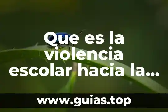 Que es la violencia verbal hacia la mujer 4 Que es la violencia escolar hacia la mujer