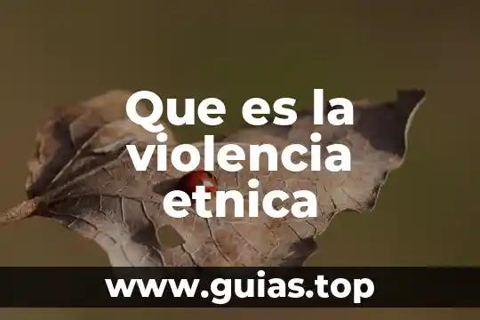 Que es el derecho a vivir libre de violencia 6 Que es la violencia etnica
