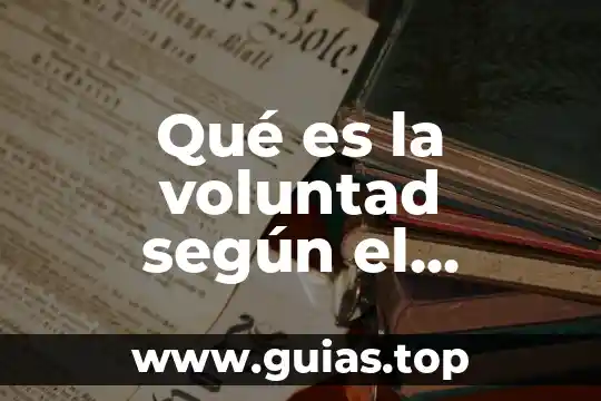 Que es el pensamiento segun chomsky 3 Qué es la voluntad según el código civil federal