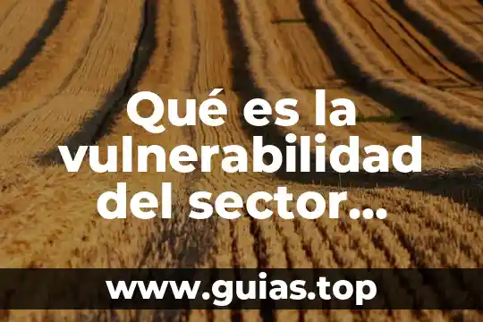 La legislación tecnológica que es el derecho informático 6 Qué es la vulnerabilidad del sector informático