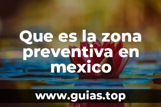 Que es zona de desarrollo proximo.edu 8 Que es la zona preventiva en mexico