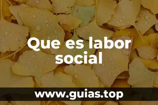 Que es el frutode la planta 7 Que es labor social