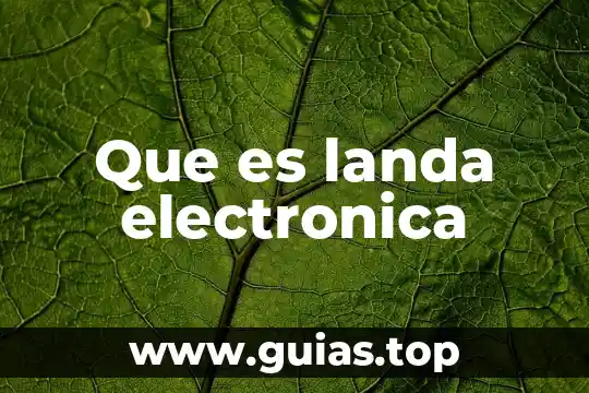 Que es la electronica en agronomia 3 Que es landa electronica