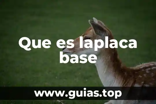 Que es una base en belleza 8 Que es laplaca base