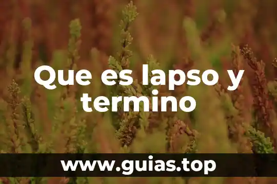 Qué es la sexualidad definición 3 Que es lapso y termino