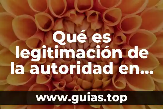 Que es el principio de autoridad en un texto argumentativo 6 Qué es legitimación de la autoridad en administración