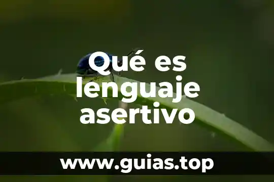 Que es un lenguaje de programacion y sus tipos 3 Qué es lenguaje asertivo