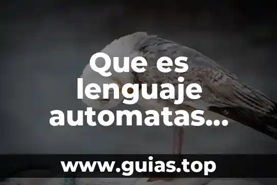 Que es lenguaje automatas sistemas computacionales