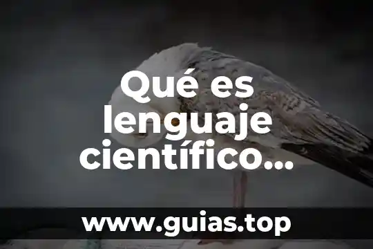 En el método científico que es la hipótesis 4 Qué es lenguaje científico definición
