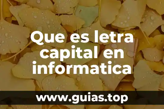 Qué es contra fuego en informática 5 Que es letra capital en informatica