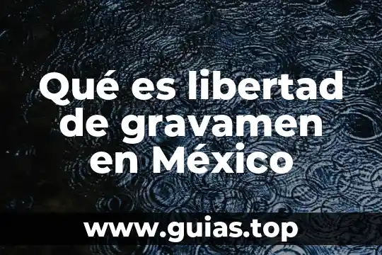 Que es la libertad de informaci贸n 5 Qu茅 es libertad de gravamen en M茅xico