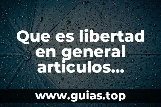 Artículos de qué es la contribución social 3 Que es libertad en general articulos educativos