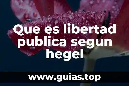 Que es el turismo segun la organizacion mundial del turismo 6 Que es libertad publica segun hegel