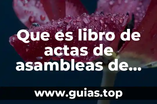 Para que es importante saber la concentración de un compuesto 7 Que es libro de actas de asambleas de accionista