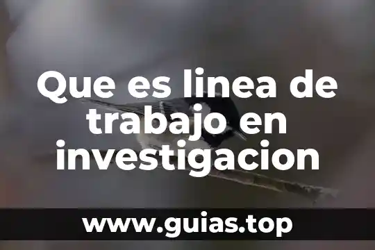 Que es una biblioteca interactiva en linea 7 Que es linea de trabajo en investigacion