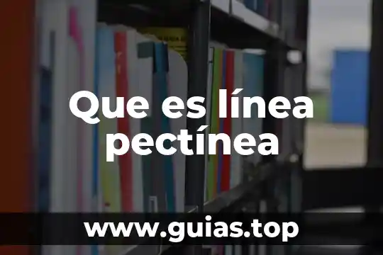Que es el alias en banca en linea 6 Que es línea pectínea