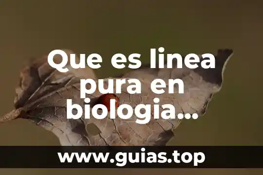 Que es una linea de acccion 7 Que es linea pura en biologia concepto