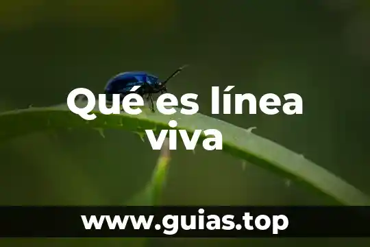 Que es el alias en banca en linea 7 Qué es línea viva