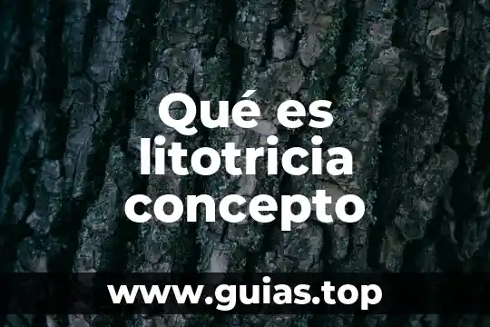 Qué es un acta de inicio en la tecnología concepto 3 Qué es litotricia concepto