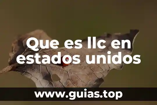 Que es pena de muerte en estados unidos 8 Que es llc en estados unidos
