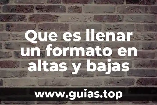 Formato edd que es 6 Que es llenar un formato en altas y bajas
