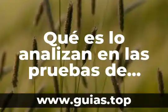Que es cuando te sale sangre por el pene 3 Qué es lo analizan en las pruebas de sangre