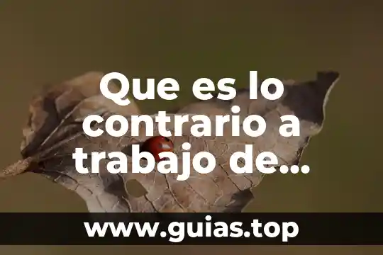 Que es una flor de campo 5 Que es lo contrario a trabajo de campo