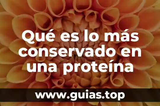 Megabyte o gigabyte que es mas 6 Qué es lo más conservado en una proteína