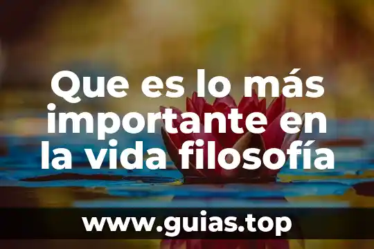 Por que es importante hacer un examen de reflejos osteotendinosos 5 Que es lo más importante en la vida filosofía