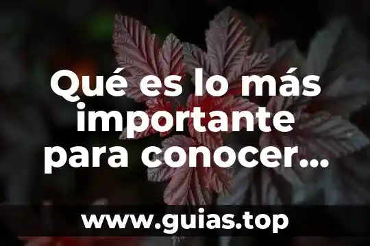 Qué es lo más importante para conocer en Perú