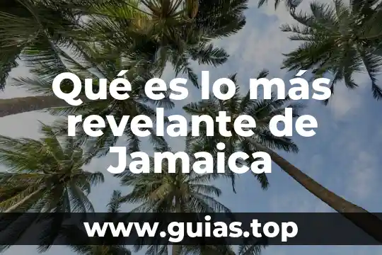 Para qué es buena agua de jamaica 6 Qué es lo más revelante de Jamaica