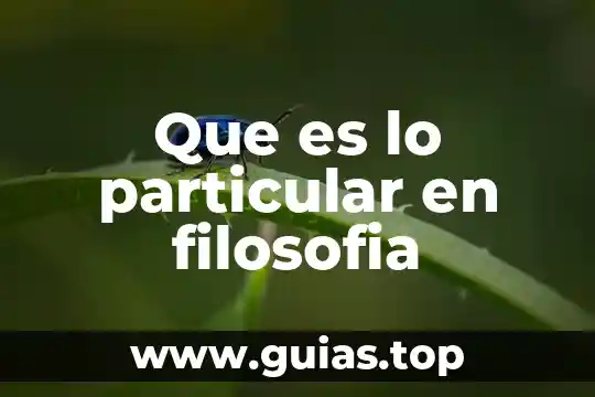 Que es la libertad de eleccion filosofia 7 Que es lo particular en filosofia